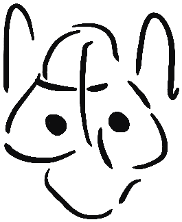 Image of the occurrence